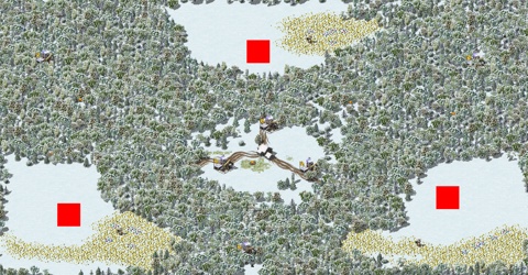 Rendered preview of Forest Dense Battle