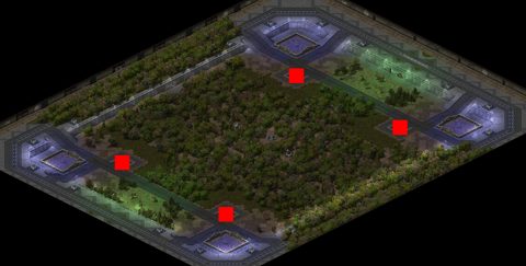 Rendered preview of GloboTech Forest Arena