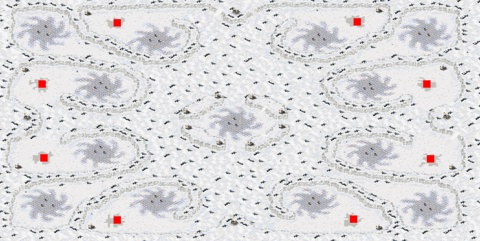Rendered preview of Arctic Twist