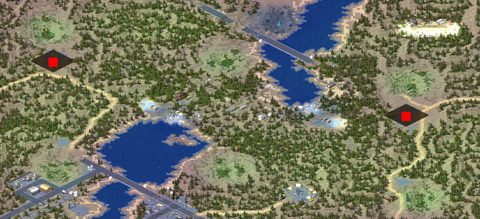 Rendered preview of The Last Forest