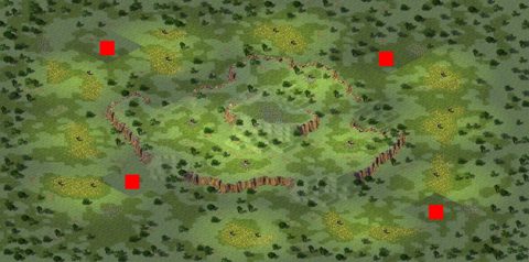 Rendered preview of Jungle Dawn Tournament