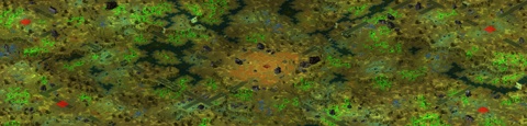 Rendered preview of Tiberium Wilderness (4)