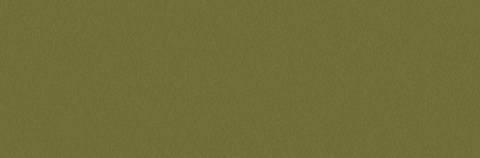 Rendered preview of returntoforestfires