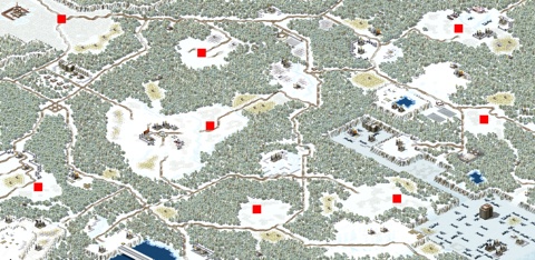 Rendered preview of Cold Forest