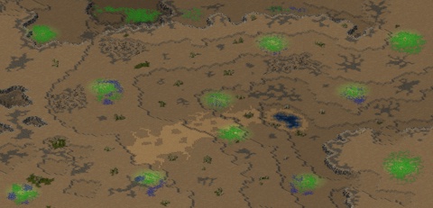 Rendered preview of Terrace