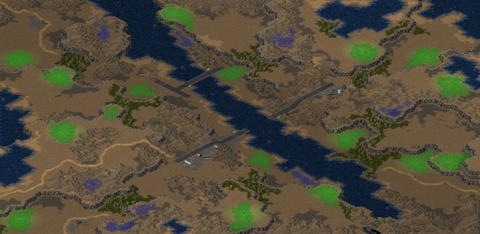 Rendered preview of Forest Fires