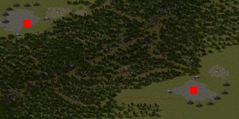 Rendered preview of Deep Forest